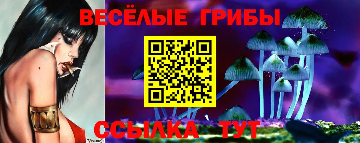 Галлюциногенные грибы Magic Shrooms  Вход с VPN  Верхняя Салда  Галлюциногенные грибы Psilocybine cubensis 